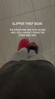 Sophia Culpo feet photo 13