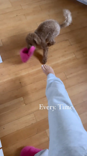 Sophia Culpo feet photo 12