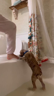 Sophia Culpo feet photo 18
