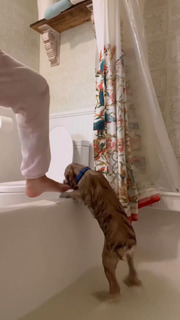 Sophia Culpo feet photo 17