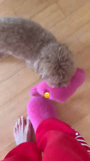 Sophia Culpo feet photo 5