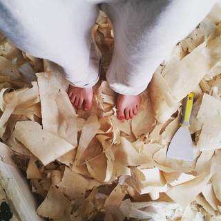Sophia Di Martino feet photo 4