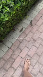 Sophia Diamond feet photo 5