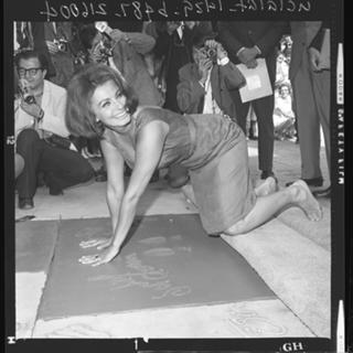 Sophia Loren feet photo thumbnail