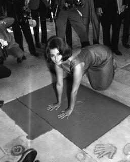 Sophia Loren feet photo thumbnail