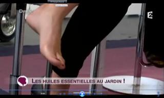 Sophie Davant feet photo 6