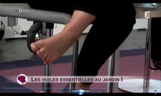 Sophie Davant feet photo 5