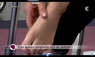 Sophie Davant feet photo 2
