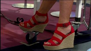 Sophie Davant feet photo 17