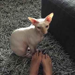 Sophie Hermann feet photo 4