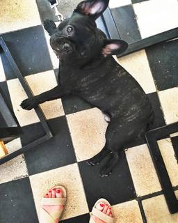 Sophie Rundle feet photo thumbnail