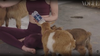 Sophie Turner feet photo thumbnail