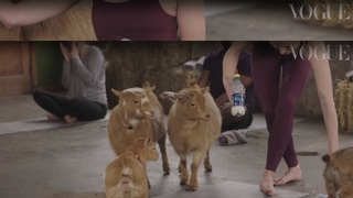 Sophie Turner feet photo thumbnail