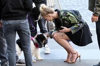 Sophie Turner feet photo thumbnail