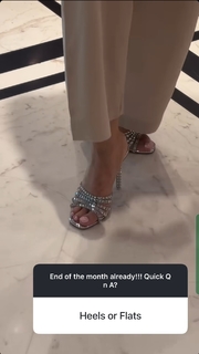 Sophiya Chaudhary feet photo 16