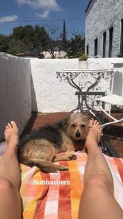 Sorel Carradine feet photo 11
