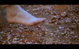 Soulaf Fawakherji feet photo 17