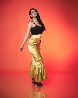 Soundarya Sharma feet photo thumbnail