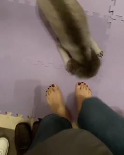 Sowon feet photo 14