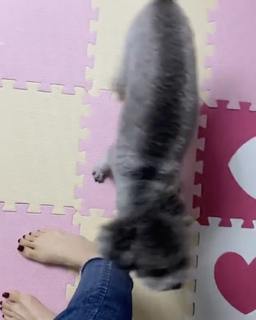 Sowon feet photo 13
