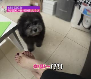 Sowon feet photo 12
