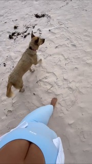 Spencer Barbosa feet photo 16