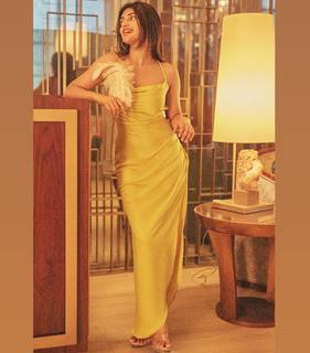 Sreeleela feet photo thumbnail