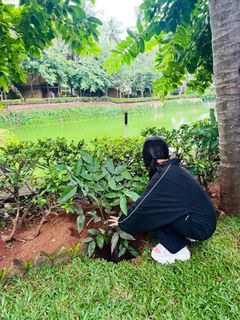 Sreeleela feet photo thumbnail