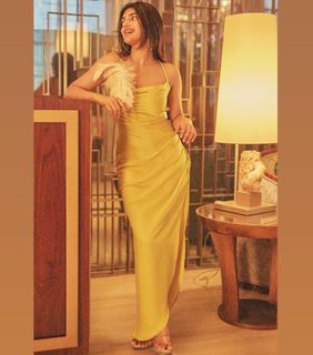 Sreeleela feet photo thumbnail