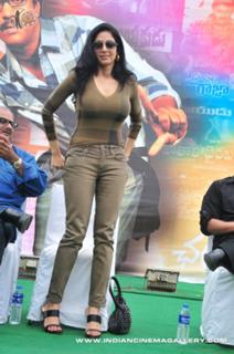 Sridevi feet photo thumbnail