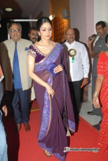Sridevi feet photo thumbnail
