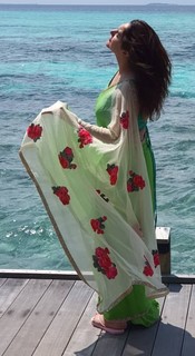 Sridevi Vijaykumar feet photo 16
