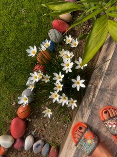 Sriti Jha feet photo 5