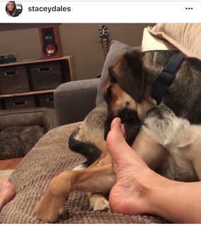Stacey Dales feet photo 5
