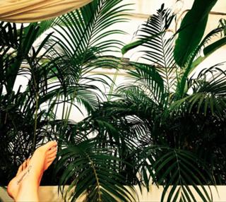 Stacey Dooley feet photo thumbnail