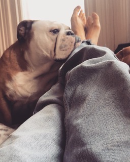 Stacey Dooley feet photo thumbnail