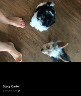 Stacy Carter feet photo 3
