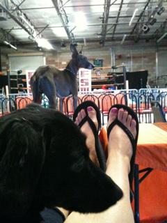 Stacy Carter feet photo 18