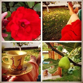 Stanija Dobrojevic feet photo thumbnail