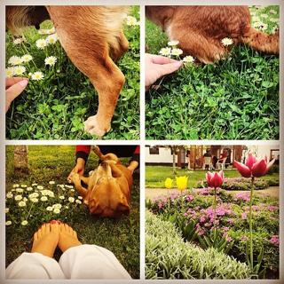 Stanija Dobrojevic feet photo thumbnail