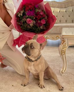 Stanija Dobrojevic feet photo thumbnail