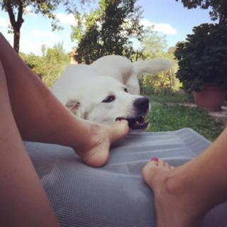 Stefania Orlando feet photo 17