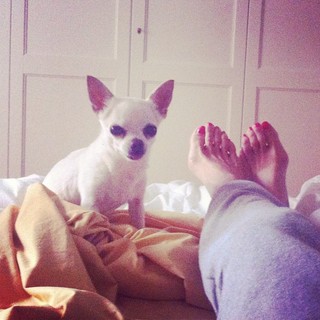 Stefania Orlando feet photo 15
