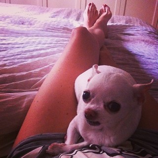 Stefania Orlando feet photo 10