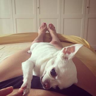 Stefania Orlando feet photo 18