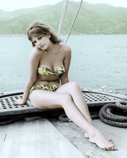 Stefania Sandrelli feet photo 15