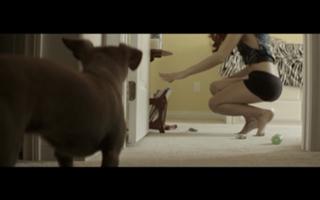 Stella Maeve feet photo thumbnail