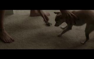 Stella Maeve feet photo thumbnail