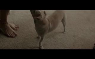 Stella Maeve feet photo thumbnail