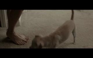 Stella Maeve feet photo thumbnail